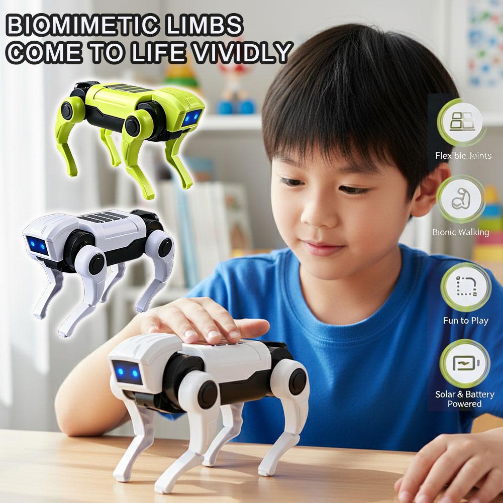 Science Robot - Kit Robot Cane Telecomandato Fai-da-Te, Modello