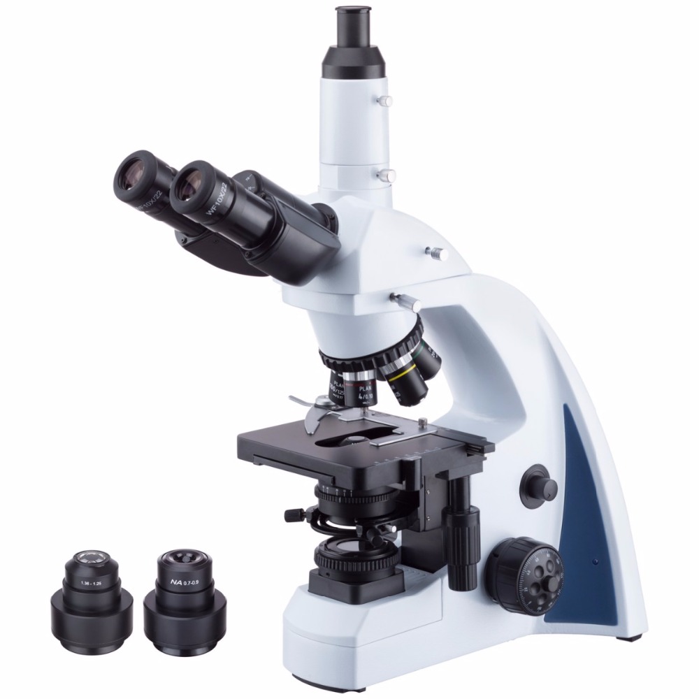 Amscope Microscope Compound 40X-1000X - AmScope Microscopio composto trinoculare Darkfield correttivato