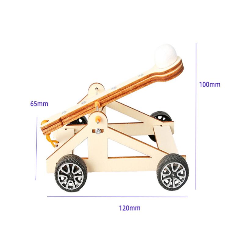 1 Set Kit di esperimenti scien - Science Project Physics recensione e prezzo