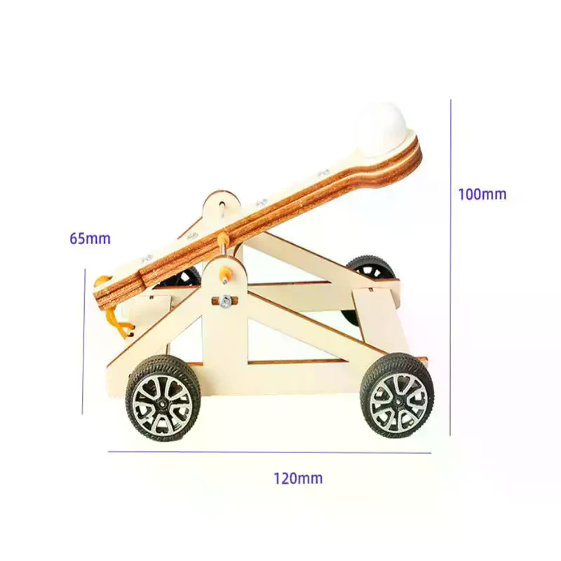 1 Set Kit di esperimenti scien - Science Project Physics recensione e prezzo