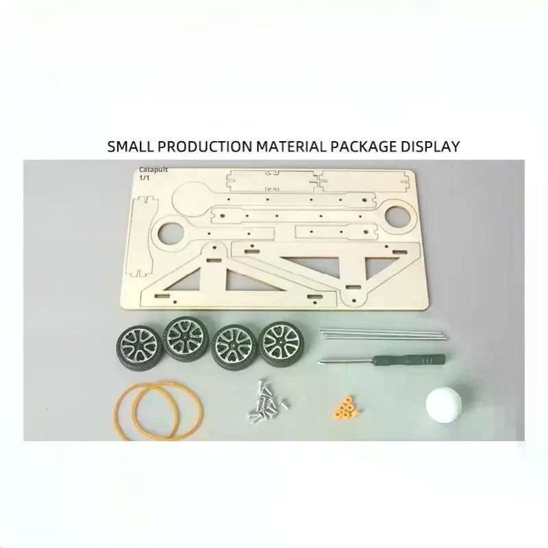 1 Set Kit di esperimenti scien - Science Project Physics recensione e prezzo