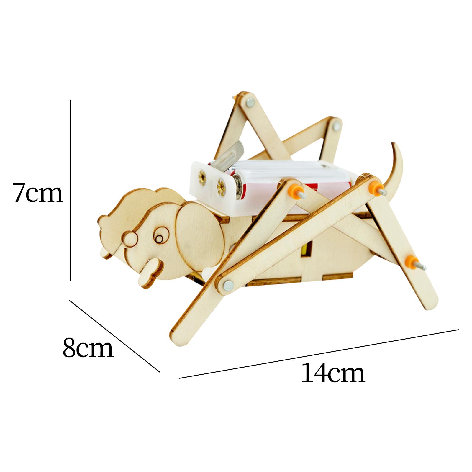 Kit Scientifico Fai-da-Te in L - Science Project Toys Making recensione e prezzo