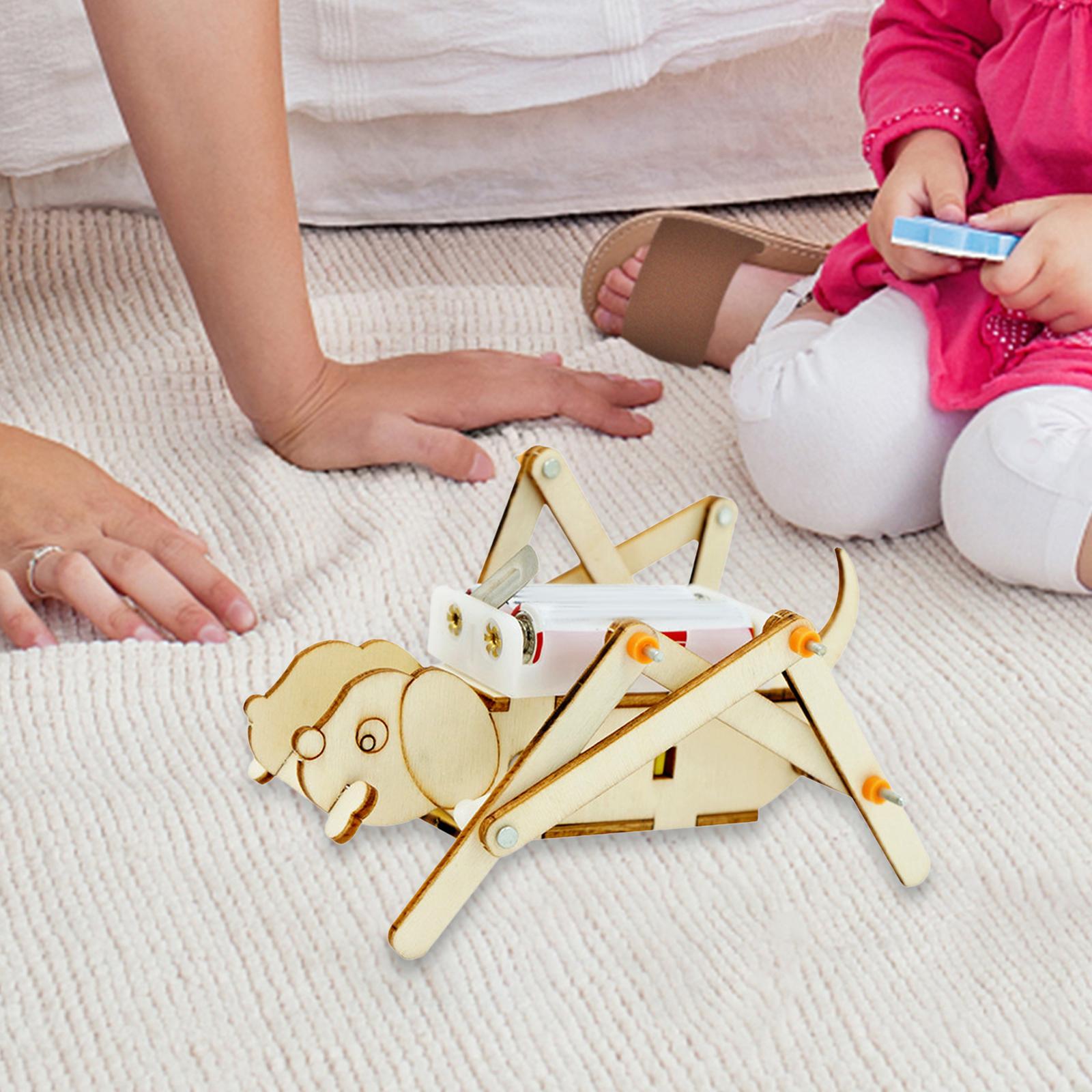 Kit Scientifico Fai-da-Te in L - Science Project Toys Making recensione e prezzo