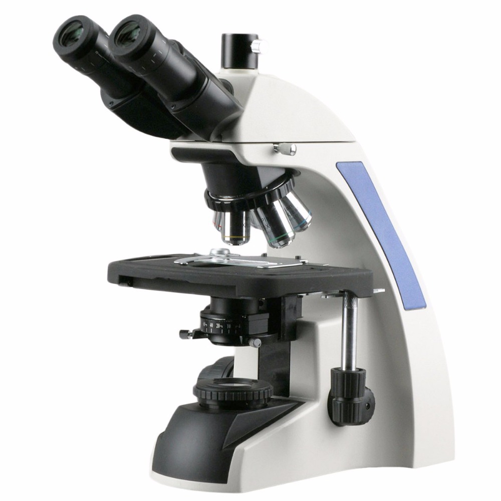 Microscopio Composto Trinocula - Amscope Microscope Compound 40X-1000X recensione e prezzo