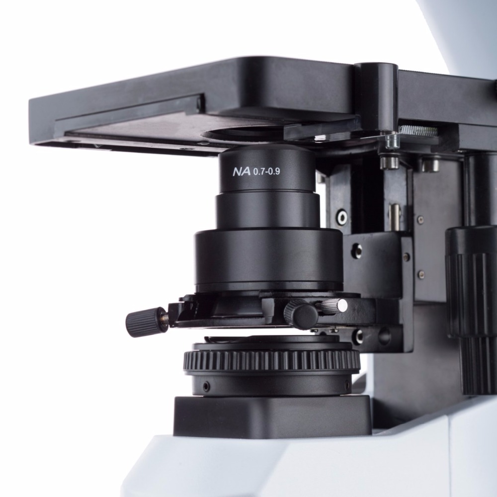 AmScope Microscopio composto t - Amscope Microscope Compound 40X-1000X recensione e prezzo