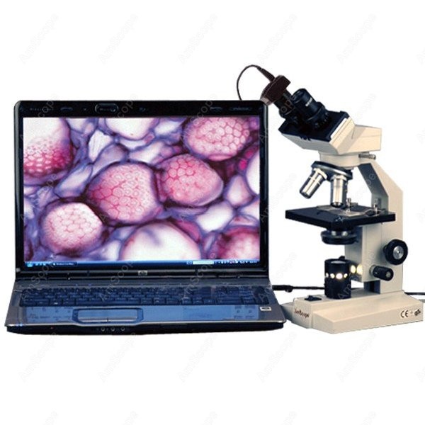 Microscopio Composto Biologico - Amscope Microscope Compound 40X-1000X recensione e prezzo