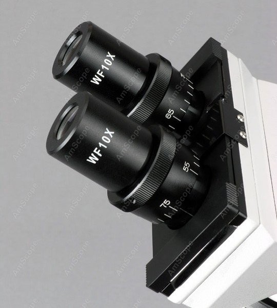 Microscopio Composto Biologico - Amscope Microscope Compound 40X-1000X recensione e prezzo